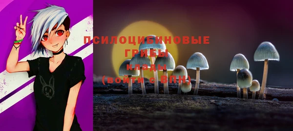кокс Арсеньев